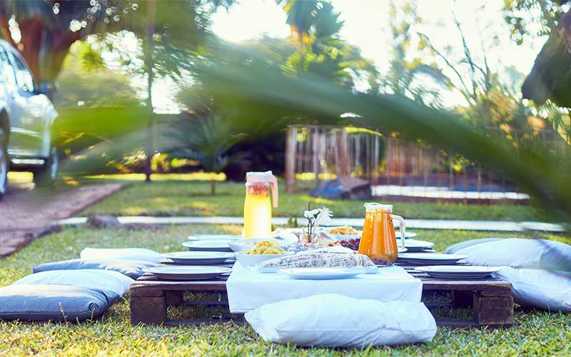 Picnic-in-the-garden